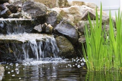 Cascadas de estanque en el patio trasero: cómo construir una cascada de