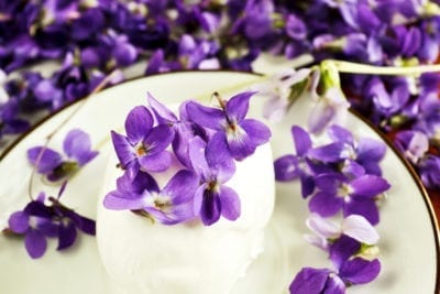 Puedes comer flores violetas? Aprende sobre las plantas violetas comestibles